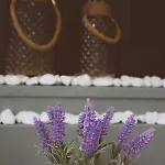Meni Sweet Luxury Apartament